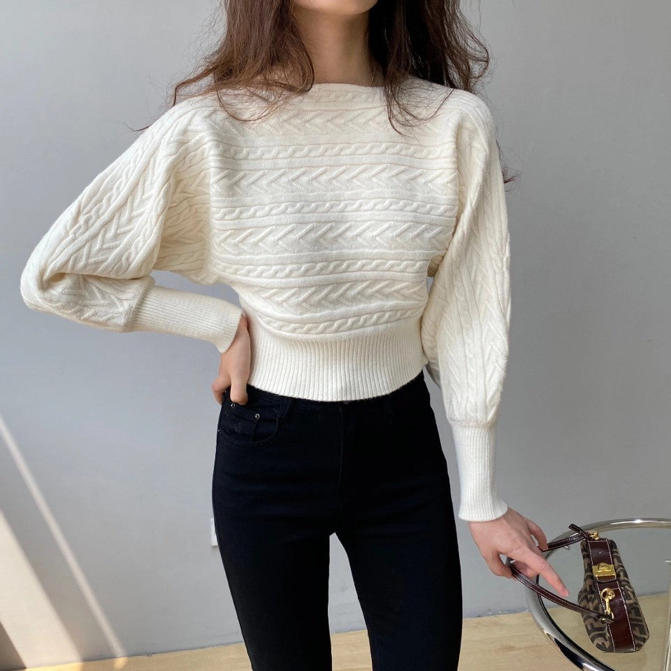 Stijlvolle Korte Sweater met Ronde Hals